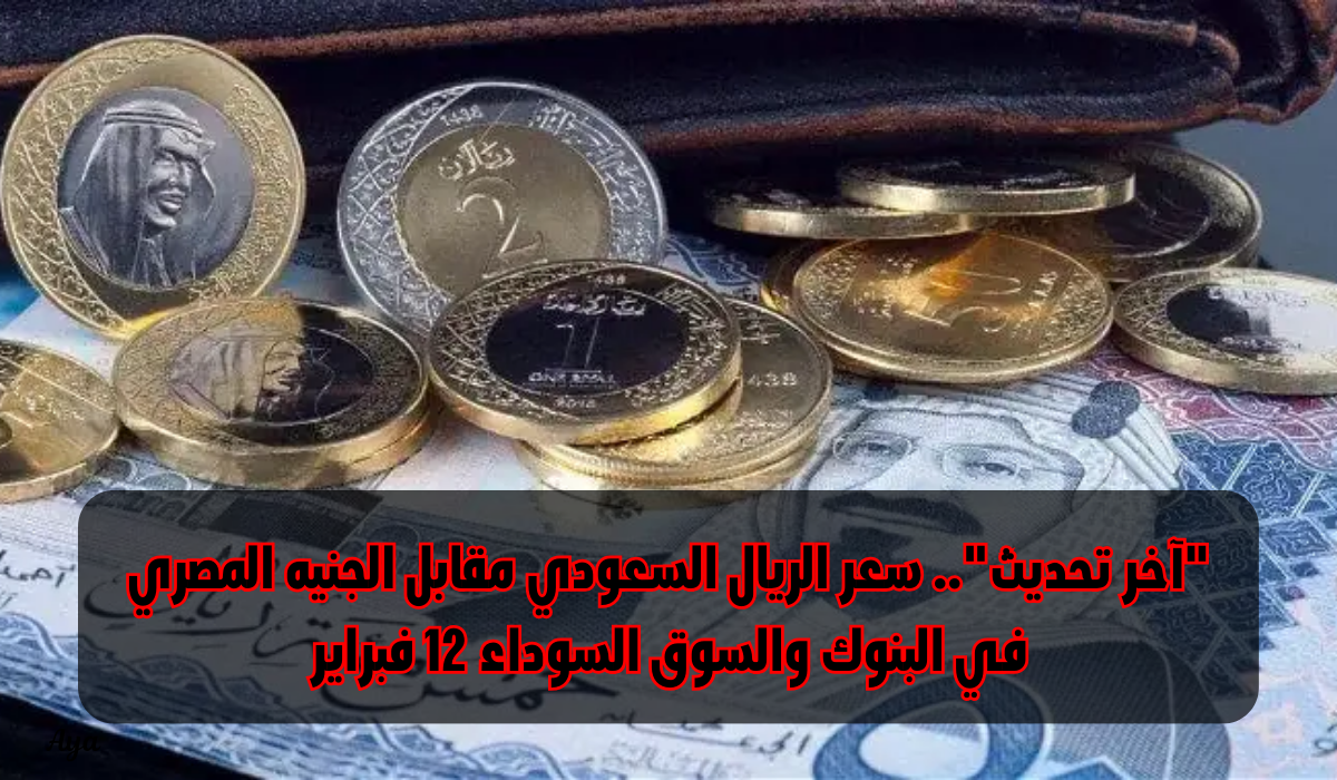 سعر الريال مقابل الجنيه المصري